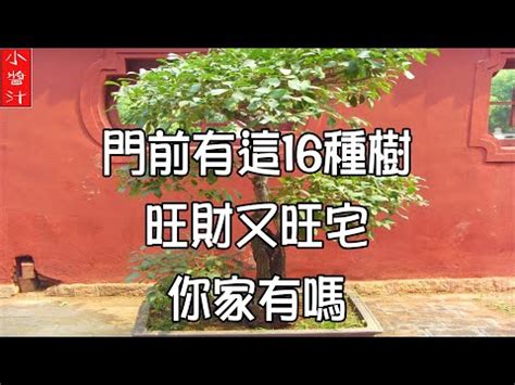 陽樹 陰樹|【陽樹 陰樹】 陽樹陰樹之分：揭開風水與植物學的奧秘